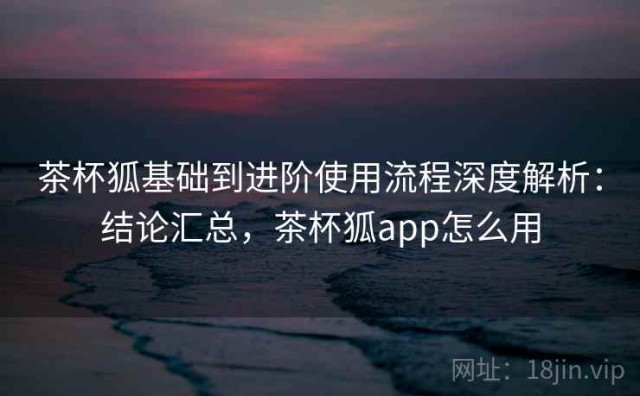 茶杯狐基础到进阶使用流程深度解析：结论汇总，茶杯狐app怎么用
