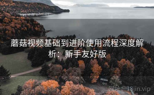 蘑菇视频基础到进阶使用流程深度解析：新手友好版