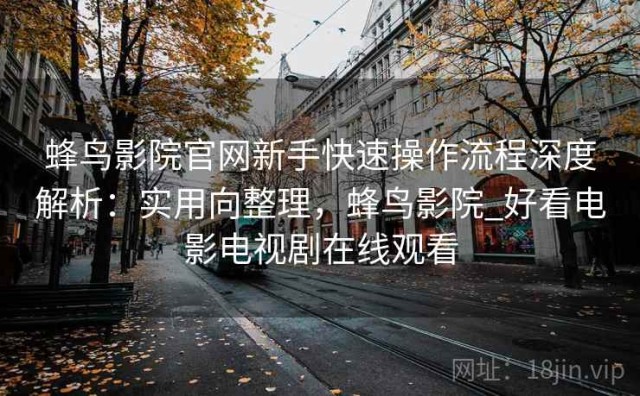 蜂鸟影院官网新手快速操作流程深度解析：实用向整理，蜂鸟影院_好看电影电视剧在线观看