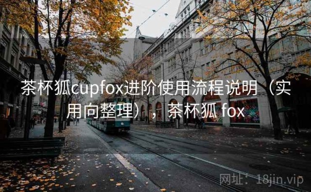 茶杯狐cupfox进阶使用流程说明（实用向整理），茶杯狐 fox