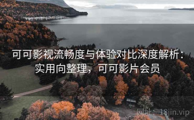 可可影视流畅度与体验对比深度解析：实用向整理，可可影片会员
