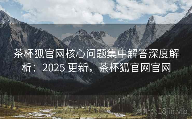 茶杯狐官网核心问题集中解答深度解析：2025 更新，茶杯狐官网官网