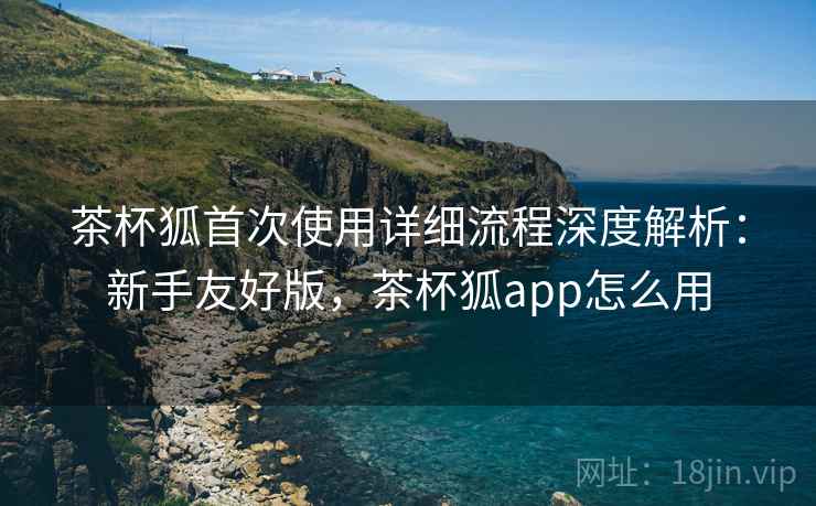 茶杯狐首次使用详细流程深度解析：新手友好版，茶杯狐app怎么用