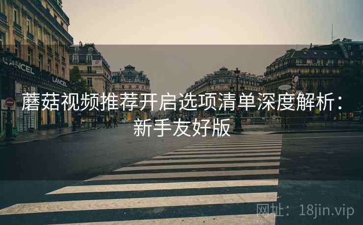 蘑菇视频推荐开启选项清单深度解析：新手友好版